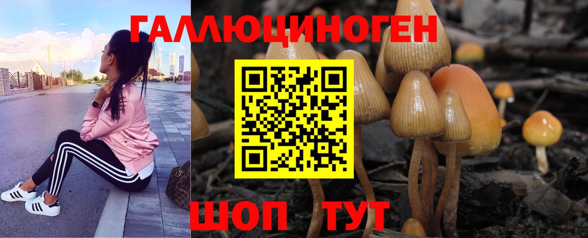 Псилоцибиновые грибы Magic Shrooms  Вход с VPN  Камышлов 