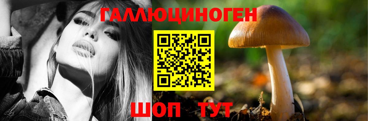 Псилоцибиновые грибы Psilocybine cubensis Камышлов